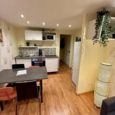 Apartament 2 - Proche Metro A 10min De Bellecour *